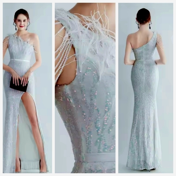 Opalescent,  Assymmetrical Neck,  Ostrich Feathers, Beaded, Geo ,Sequined Gown - Picture 1 of 15
